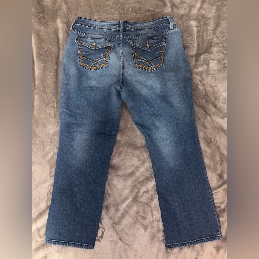 ana Women's Straight Jeans Blue Denim Plus Size Stretch Embroidered Pockets 16W